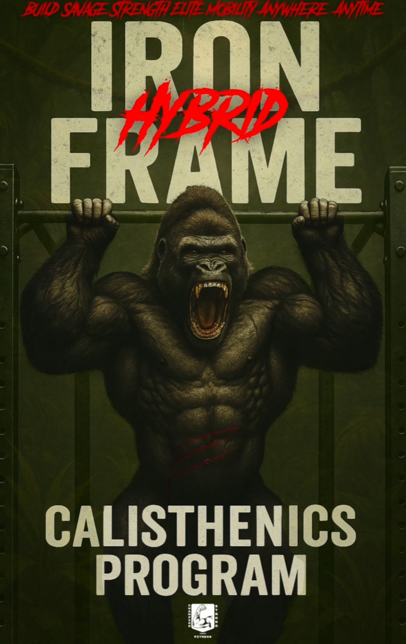 Iron Frame 4 week Hybrid Calisthenics workout program